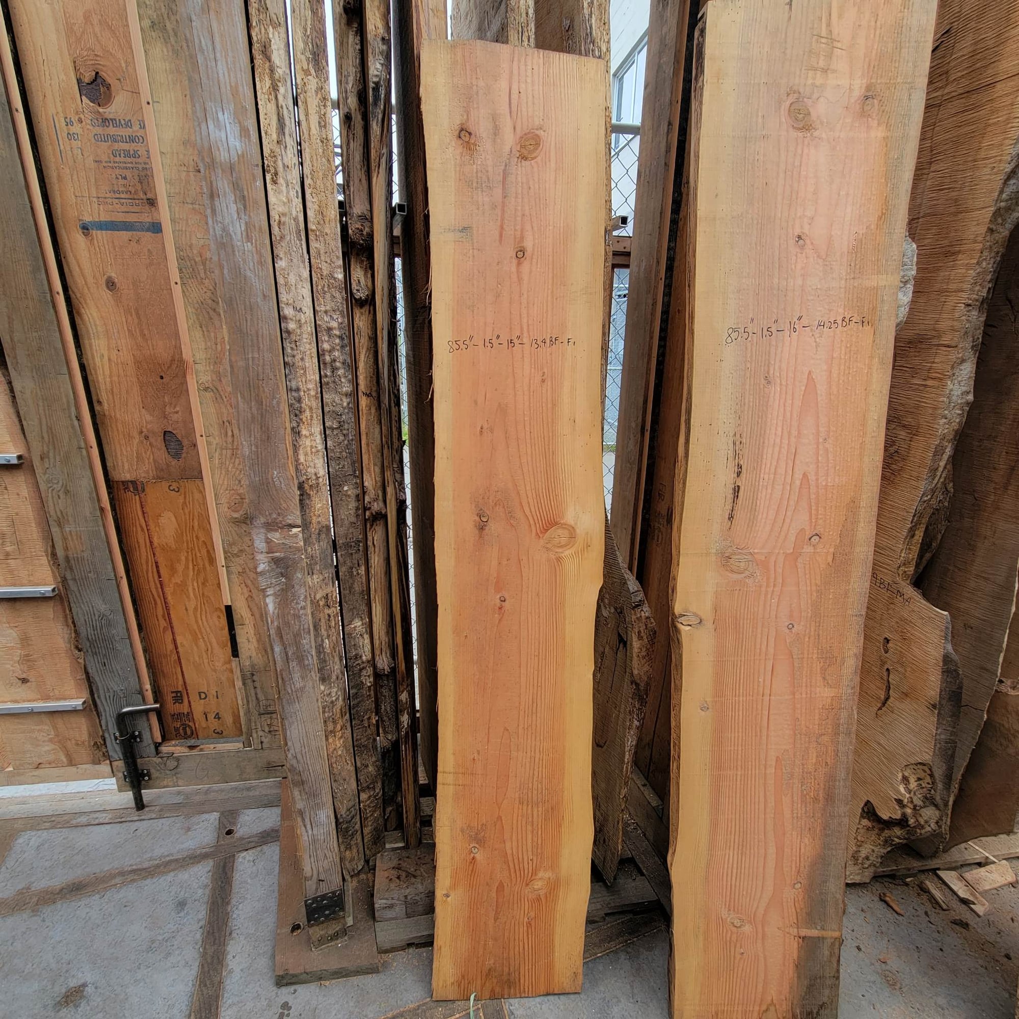 Douglas Fir
